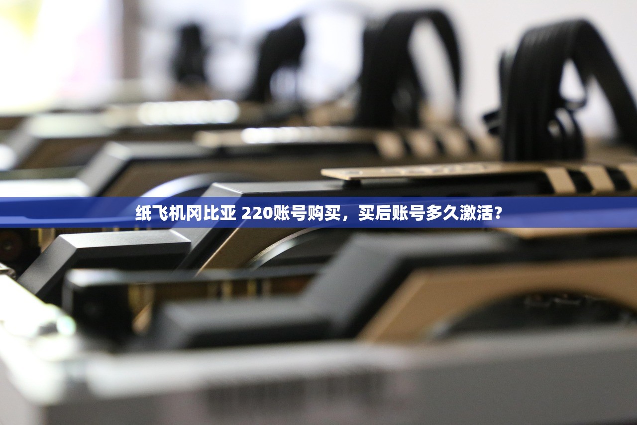 纸飞机冈比亚 220账号购买，买后账号多久激活？